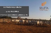 Fazenda  2752 hectares em general carneiro mt